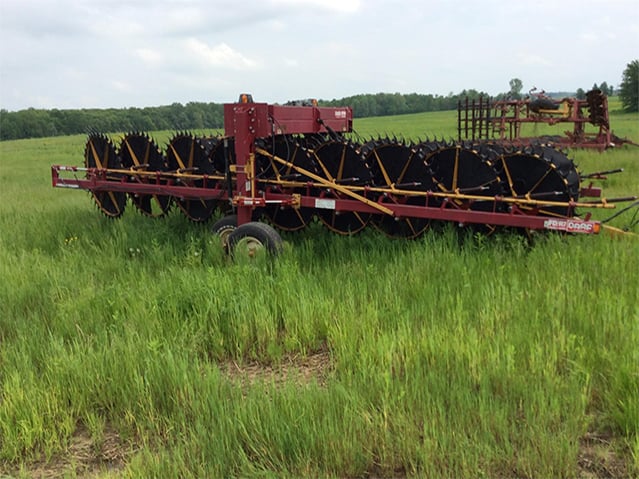 hay & forage